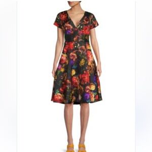 Theia Red and Orange V-Neck Fit and Flare Midi Dress